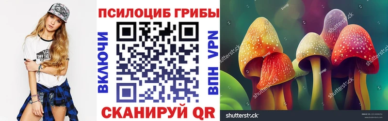 где найти наркотики  кракен маркетплейс  Галлюциногенные грибы Psilocybe  Мыски 